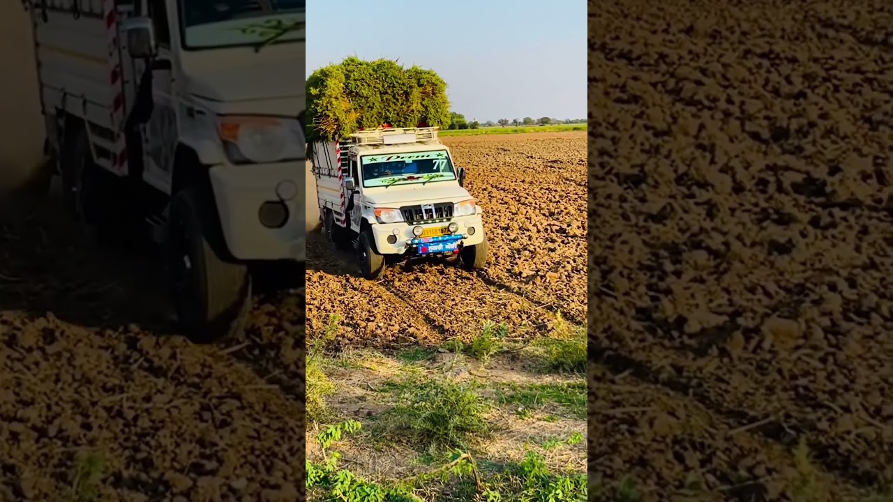 bolero pickup overload #automobile #india #pickup #mahindra