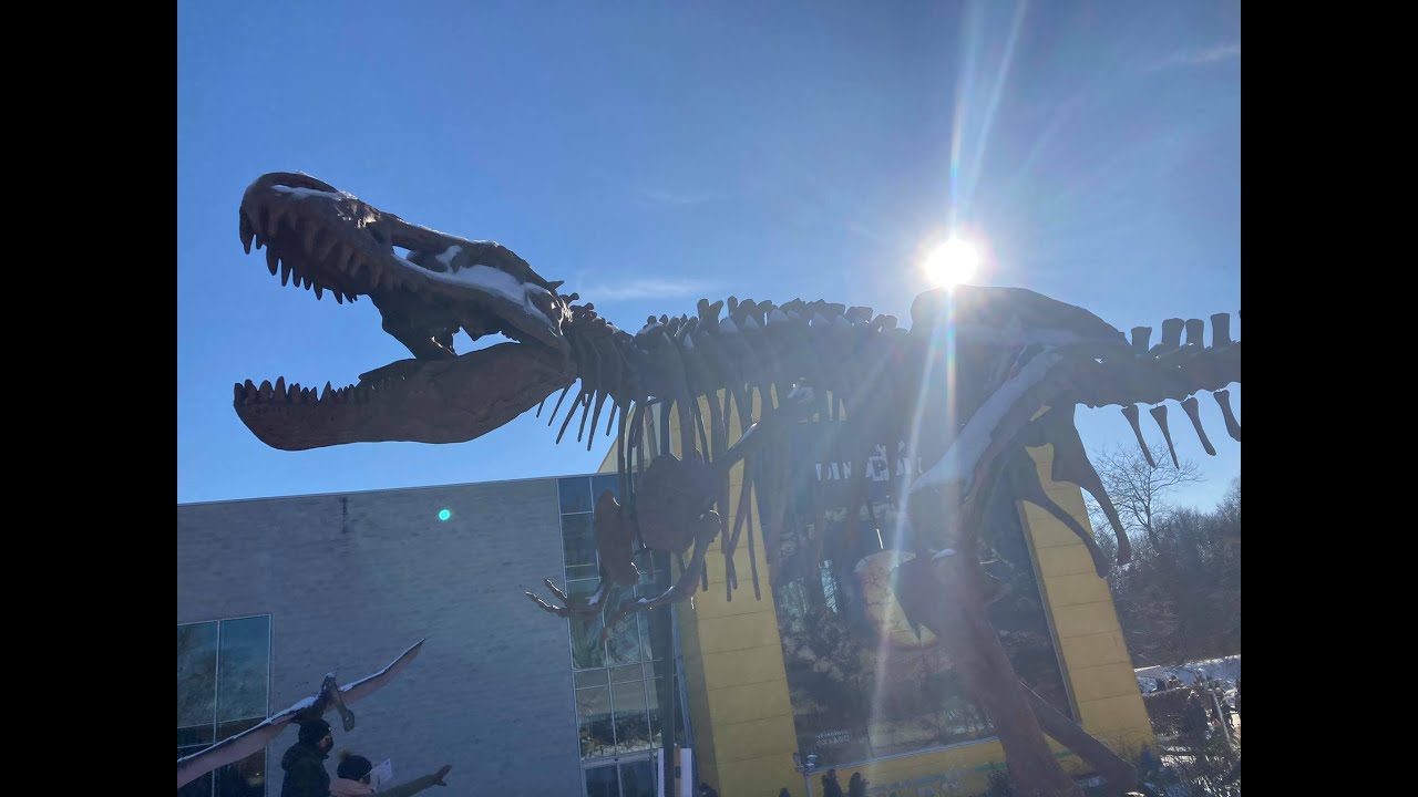Dinopolis Part 1: Lets meet the Different Dinosaurs!