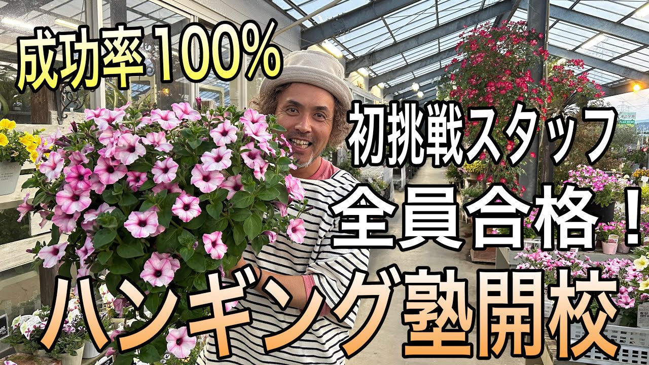 【寄せ植え】成功率100％！噂のペチュニアで初めてのハンギングに挑戦！