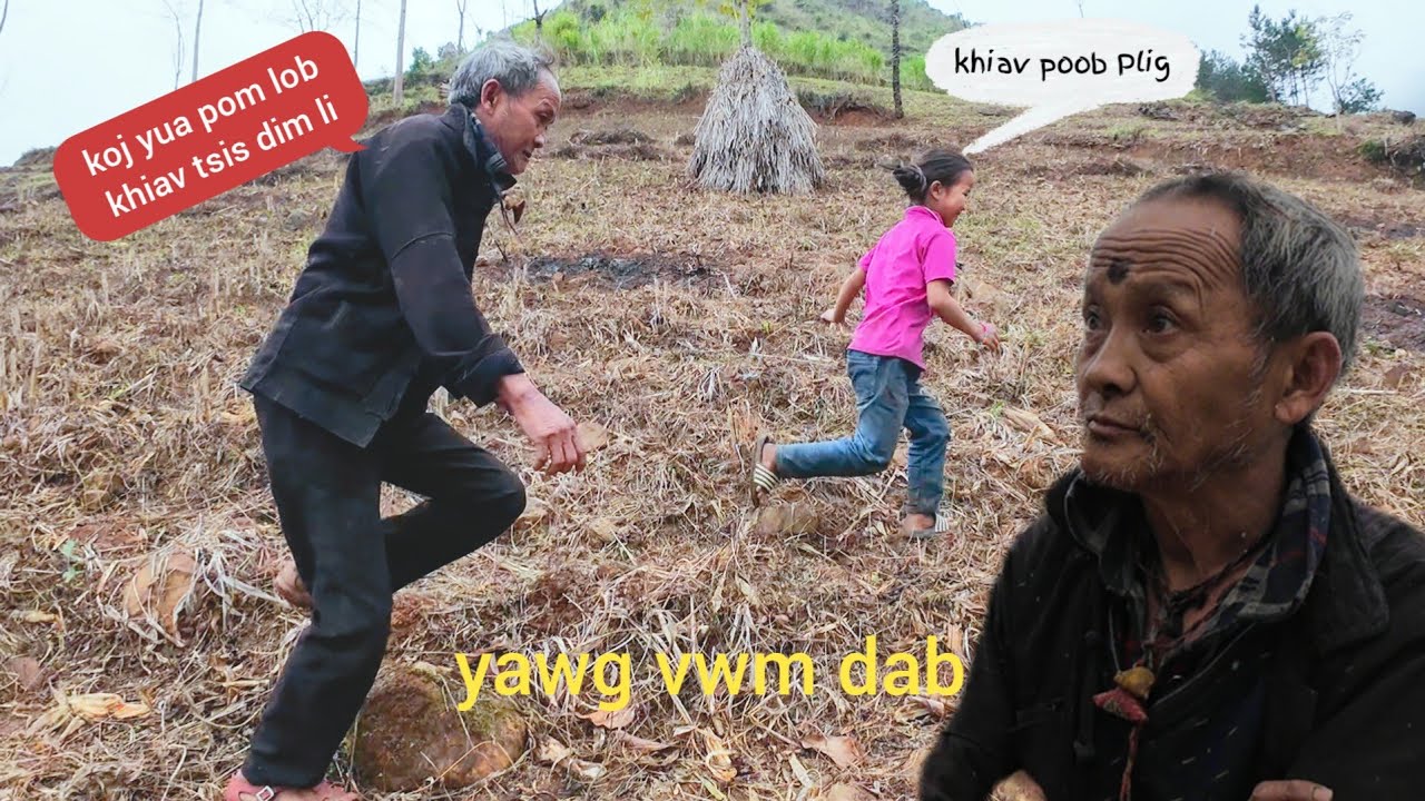 Txaus Ntsai Heev Tus Yawm Vwm Ntes Me Nyuam Hmoob  Hauv Zos Phom Sij Heev / Tsim Nuj TV 