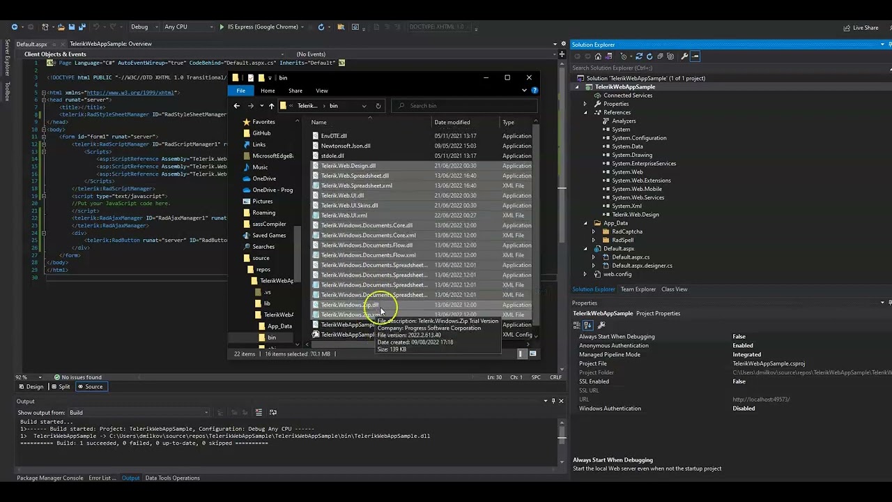 Step by step tutorial of how to eliminate the Trial error message with Telerik UI for ASP.NET AJAX