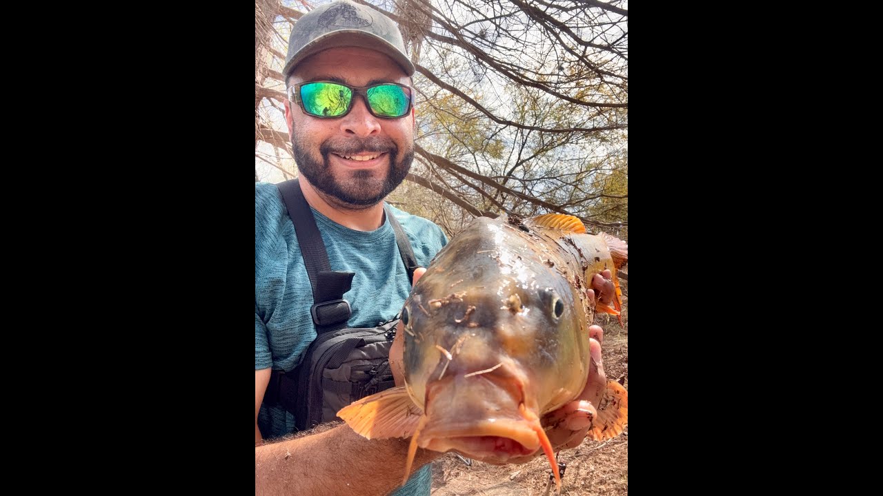 Caught a GHOST👻carp and the POLICE showed up #fishing #urbanfishing #carpfishing