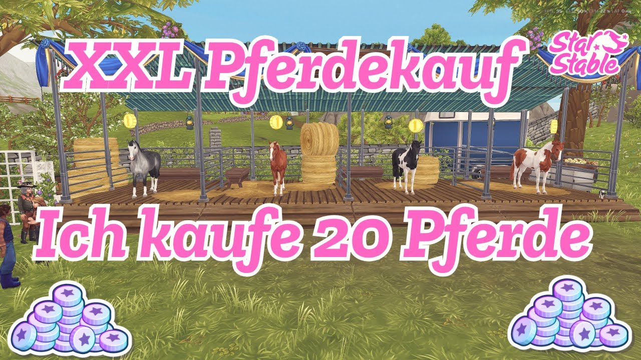SSO 🐴 Ich kaufe 20 Pferde auf dem Basar | XXL Pferdekauf