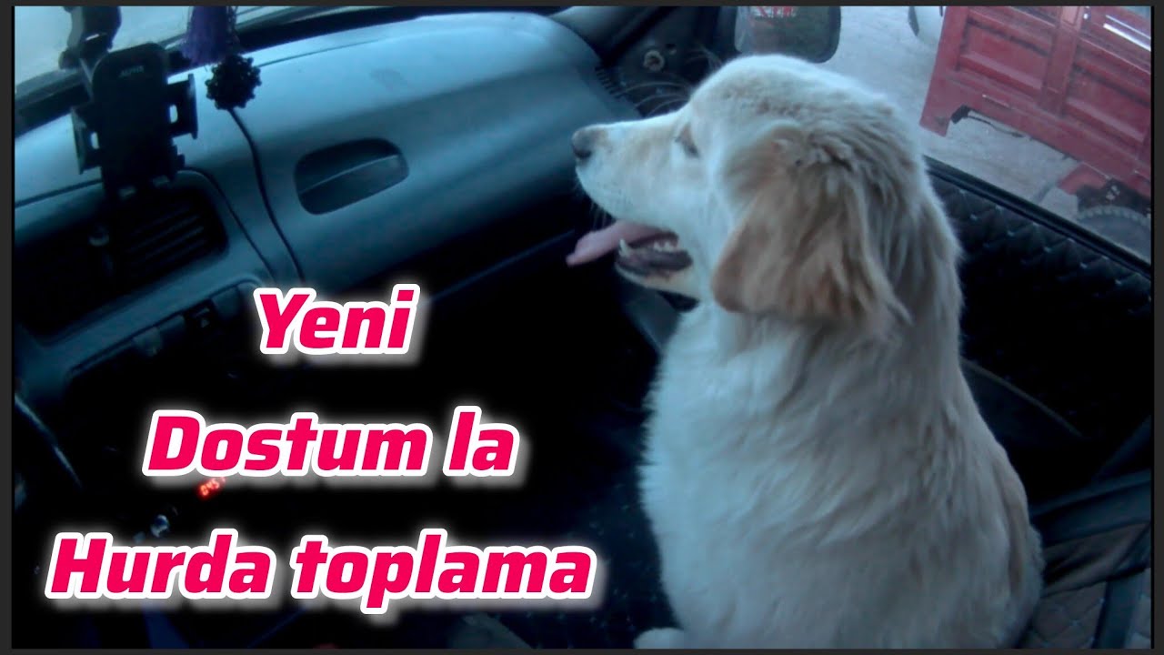 YENİ DOSTUM MASKOT İLE HURDA TOPLAMA 