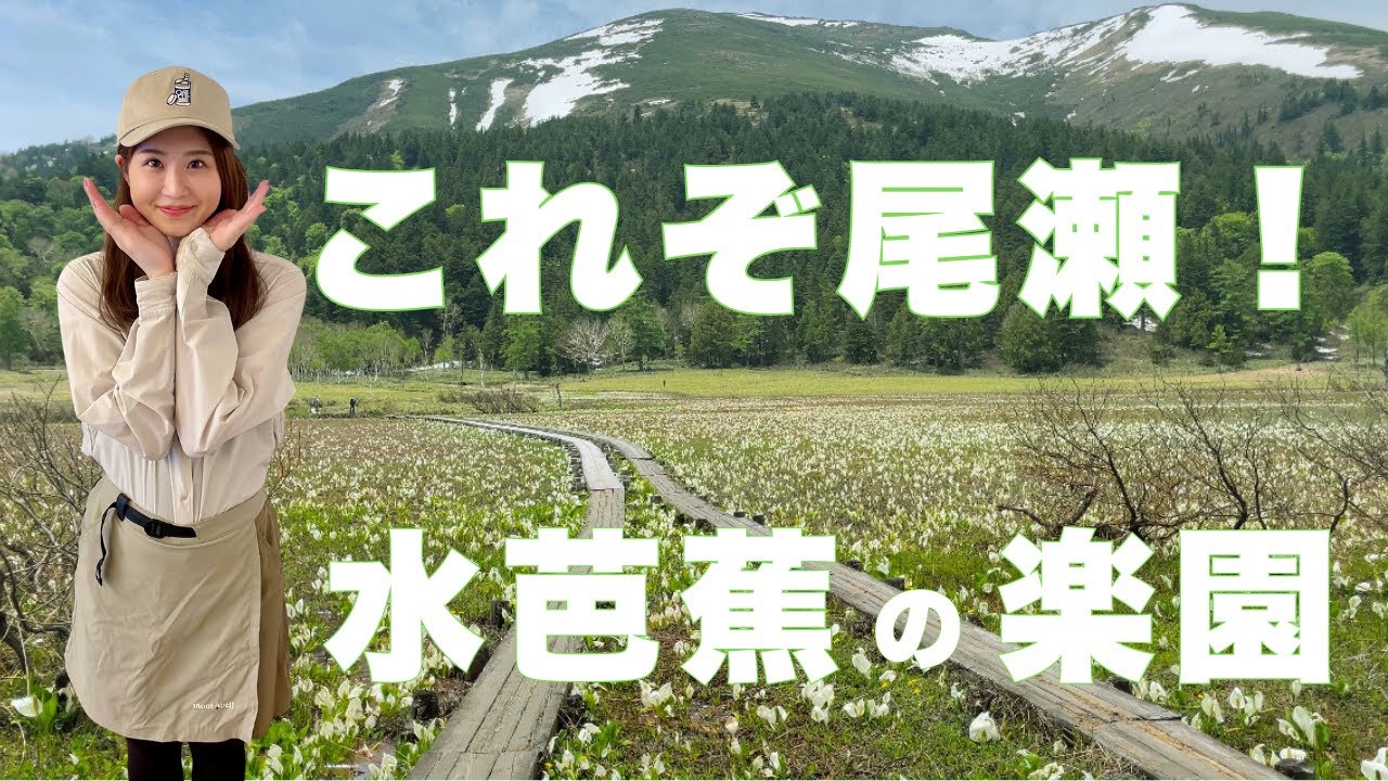 【尾瀬】絶景の穴場スポット！水芭蕉の白い絨毯を歩く！