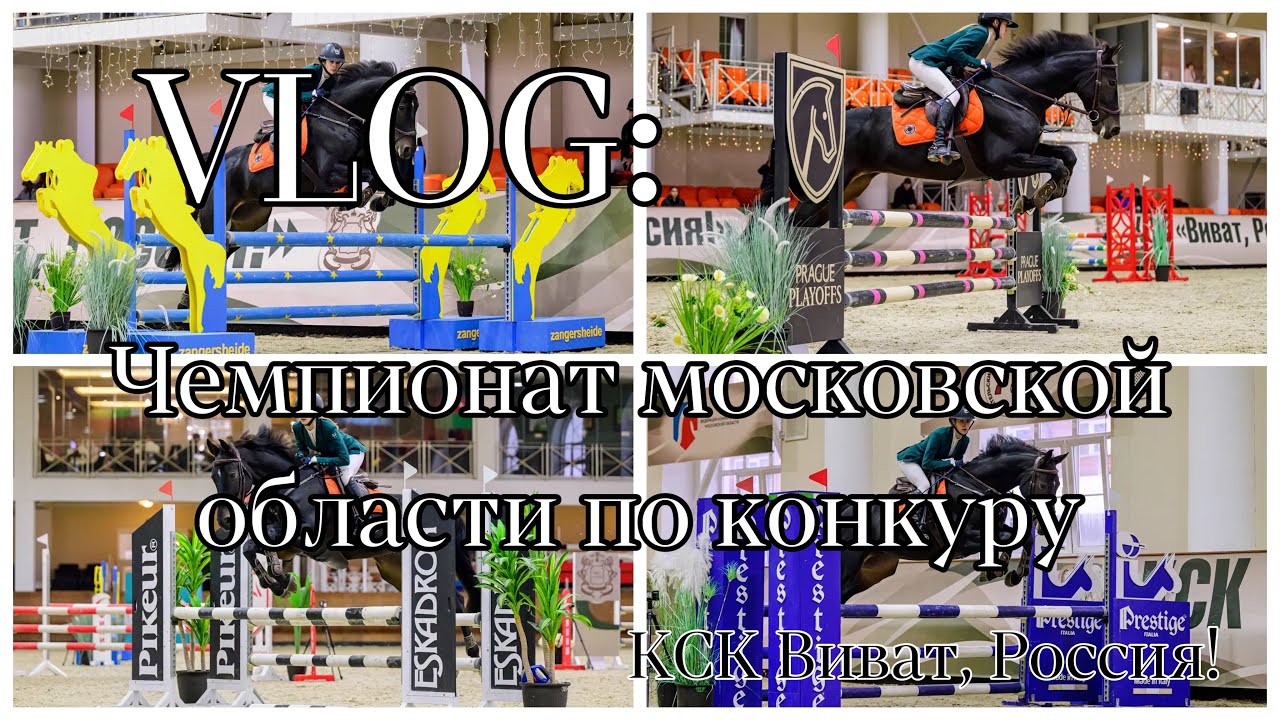 VLOG: соревнования в КСК Виват, Россия|Чемпионат московской области по конкуру