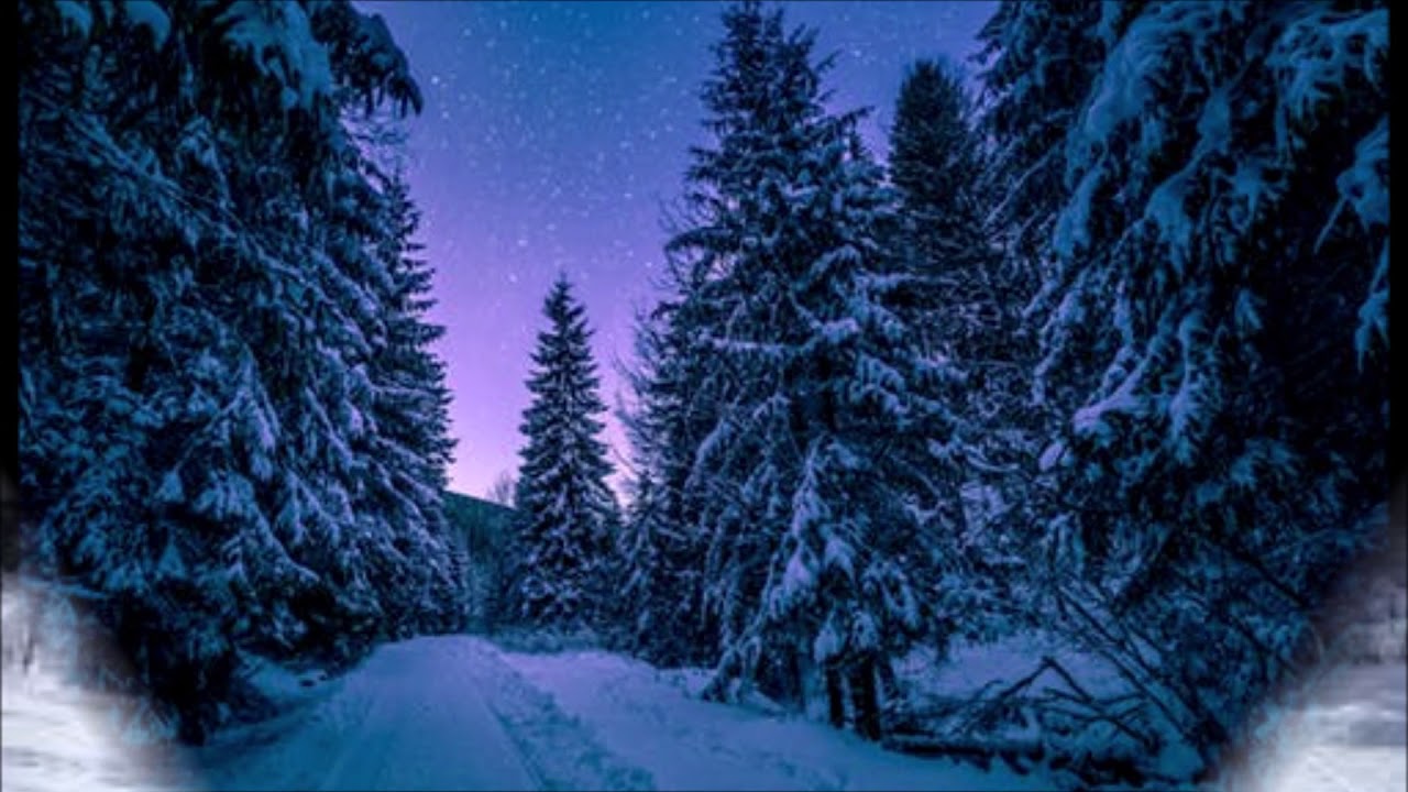 ❄Slavko Avsenik & Seine Original Oberkrainer - Schöne Winterzeit🎄