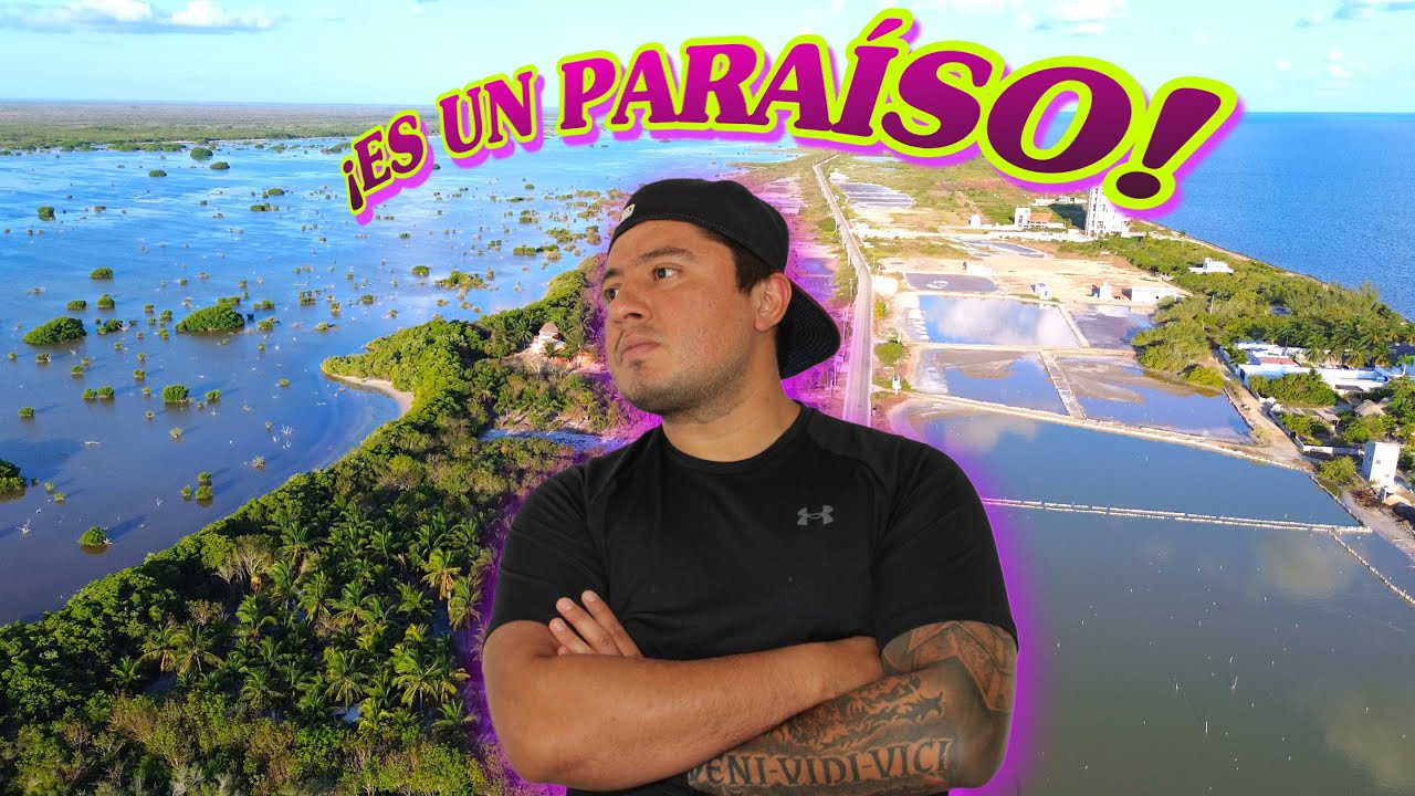Manglares en Santa Clara, Yucatán