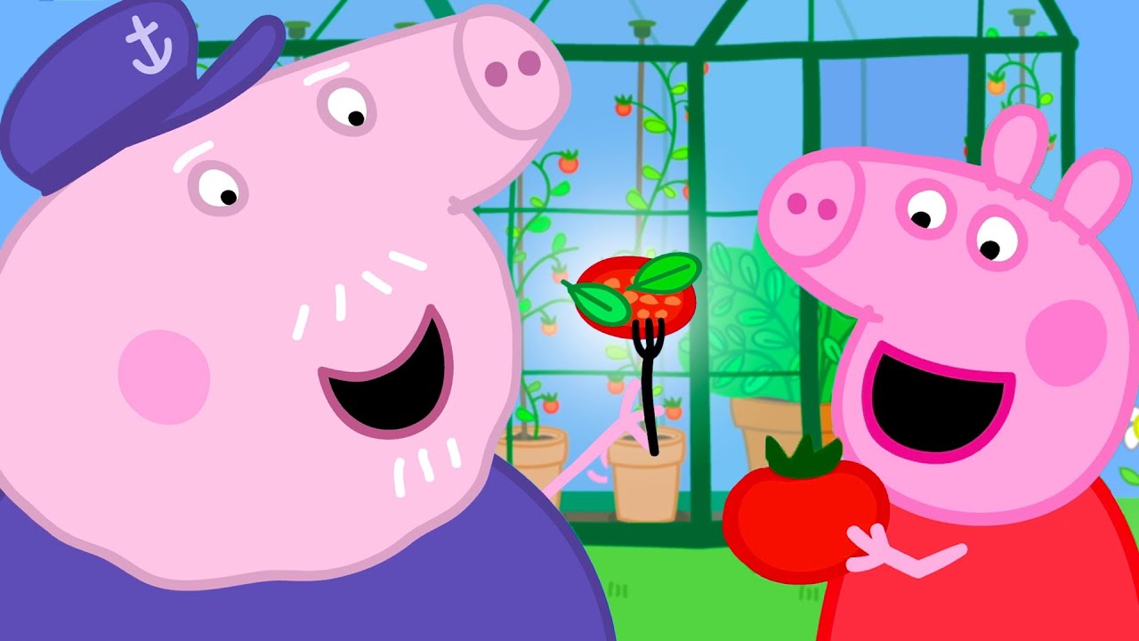 Cultivo de tomates saborosos | Peppa Pig Portuguese Brazil Episódios completos |