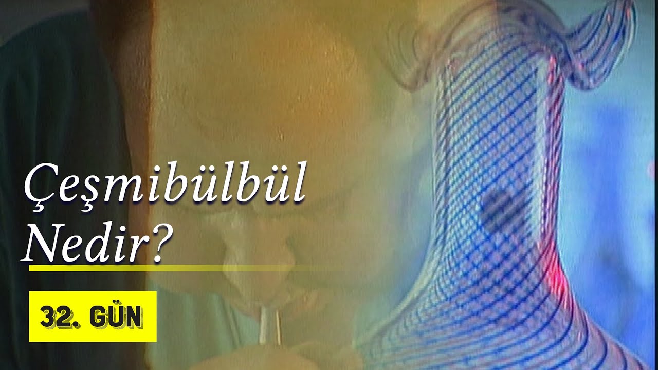 Çeşmibülbül Sanatının Hikayesi | 2002