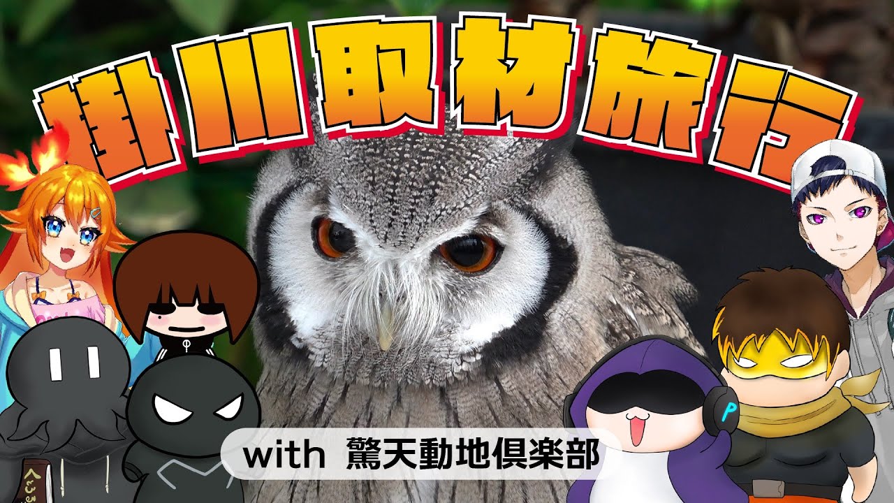 ドライブし、鳥と出会い、茶畑や城跡に行く掛川旅行