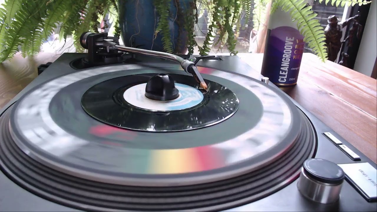 Treston Palmer – I've Lost That Love + Version