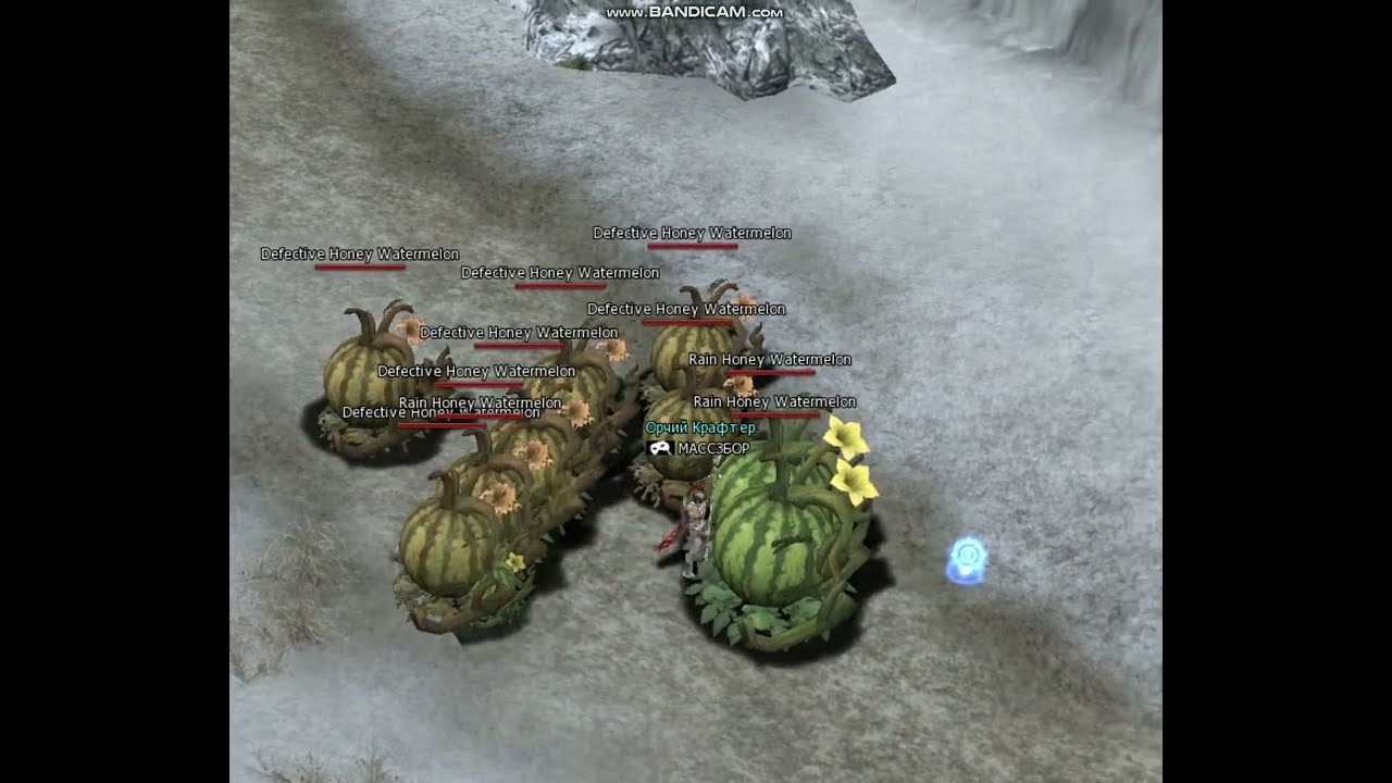 Asterios x5 Lineage 2