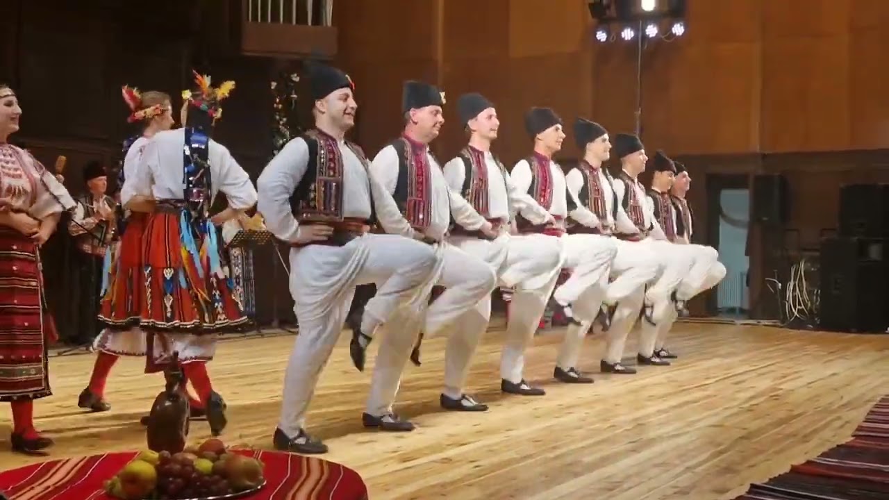 ПФА ,,ДОБРУДЖА