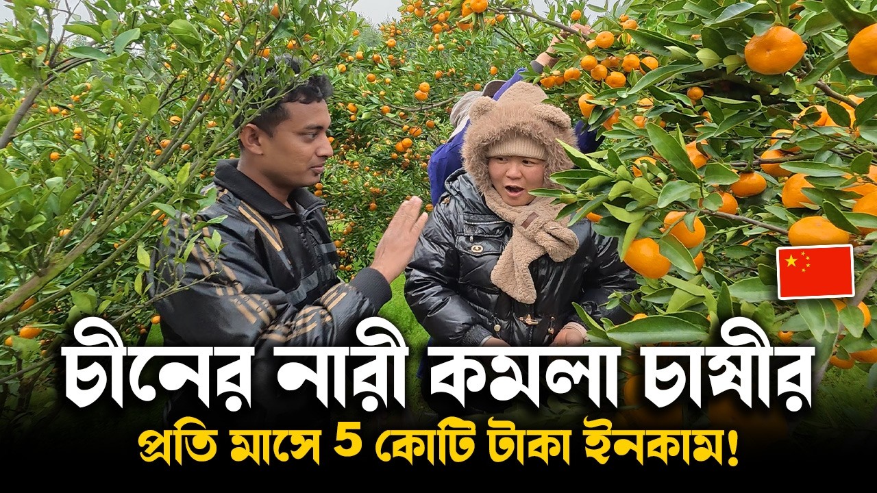 চীনের এক নারী কমলা চাষির অবিশ্বাস্য সফলতার গল্প!! 🇨🇳 China Orange Farming