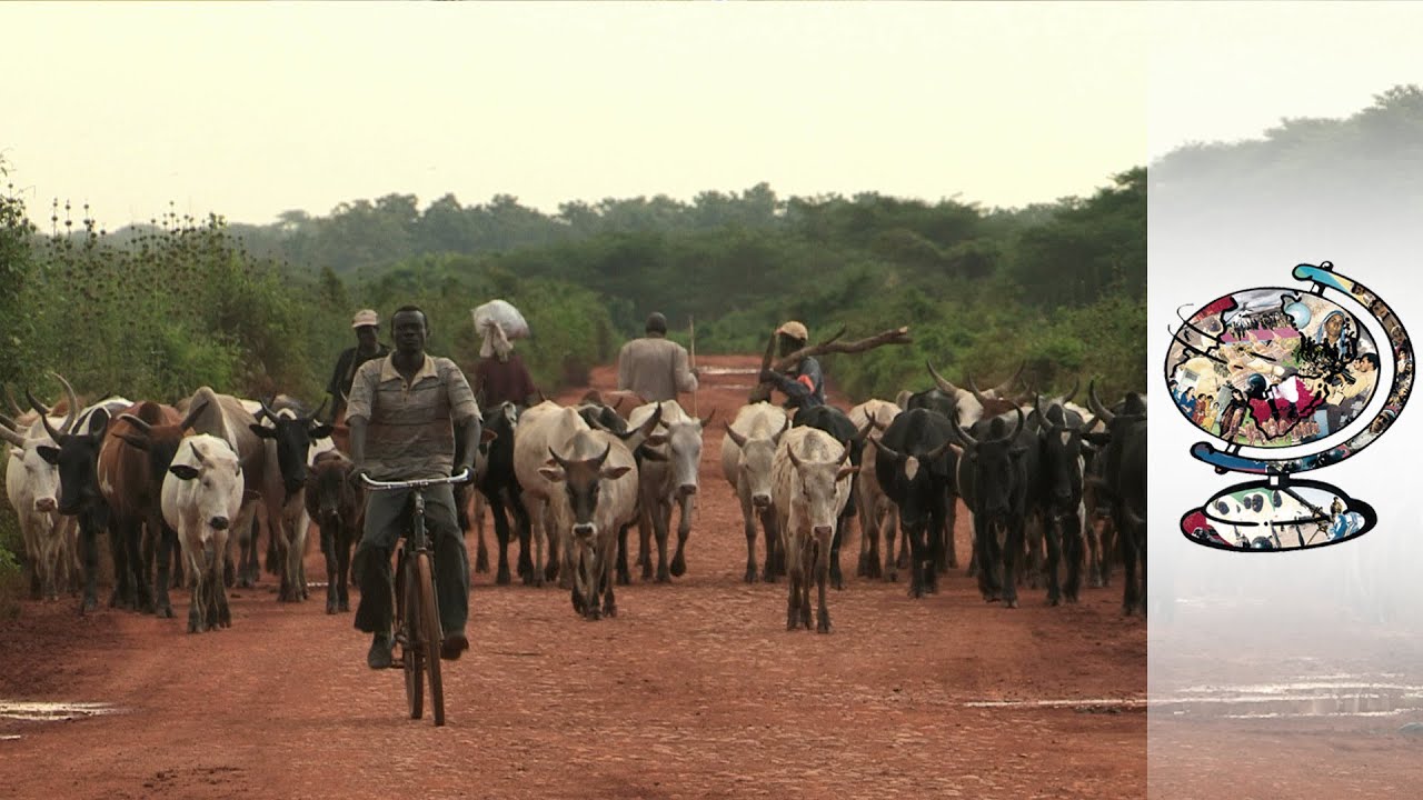 Ethiopians Are Paying A High Price For Development