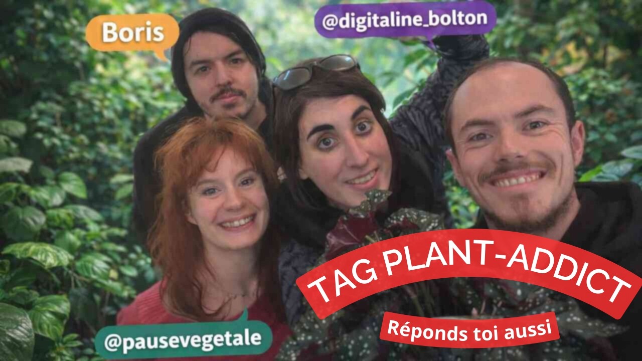 ON REPOND AU TAG PLANTES ! - feat @pausevegetale , @digitaline_bolton et Boris !