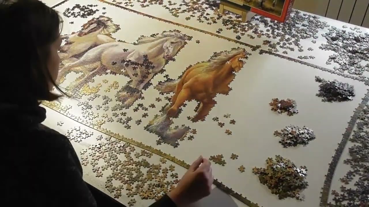 Puzzle Time Lapse Born to run, Castorland 4000