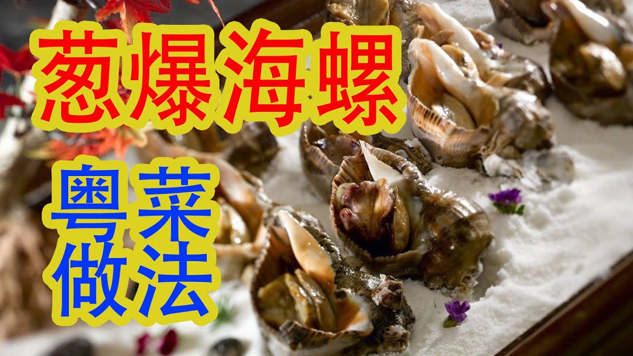 【海螺的做法】5分鐘就能學會粵菜蔥爆【螺片】的做法，出鍋香氣四溢，下酒下飯很不錯