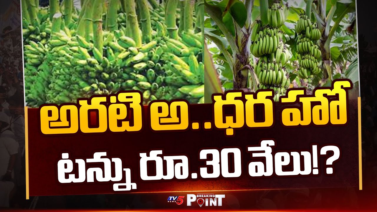 అరటి అ..ధర హో | Good News For Banana Farmers & Rising banana Prices | CM Chandrababu | TV5 News