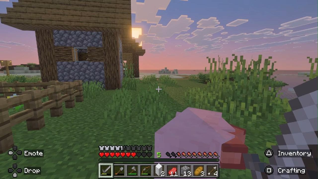 Minecraft survival episode 2
