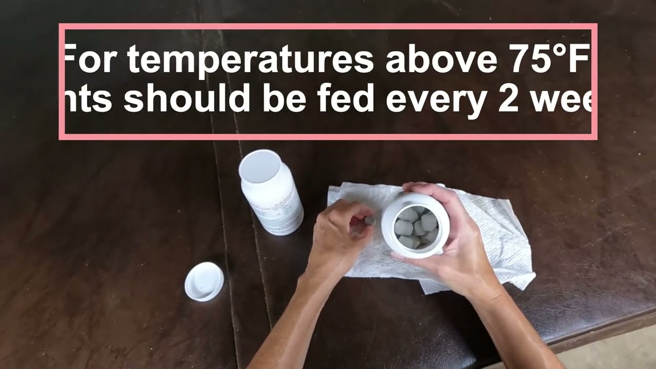 Out of the Box:  Pondtabbs® & Pondtabbs Plus® Humates