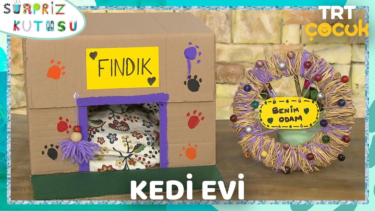 Sürpriz Kutusu | Kedi Evi