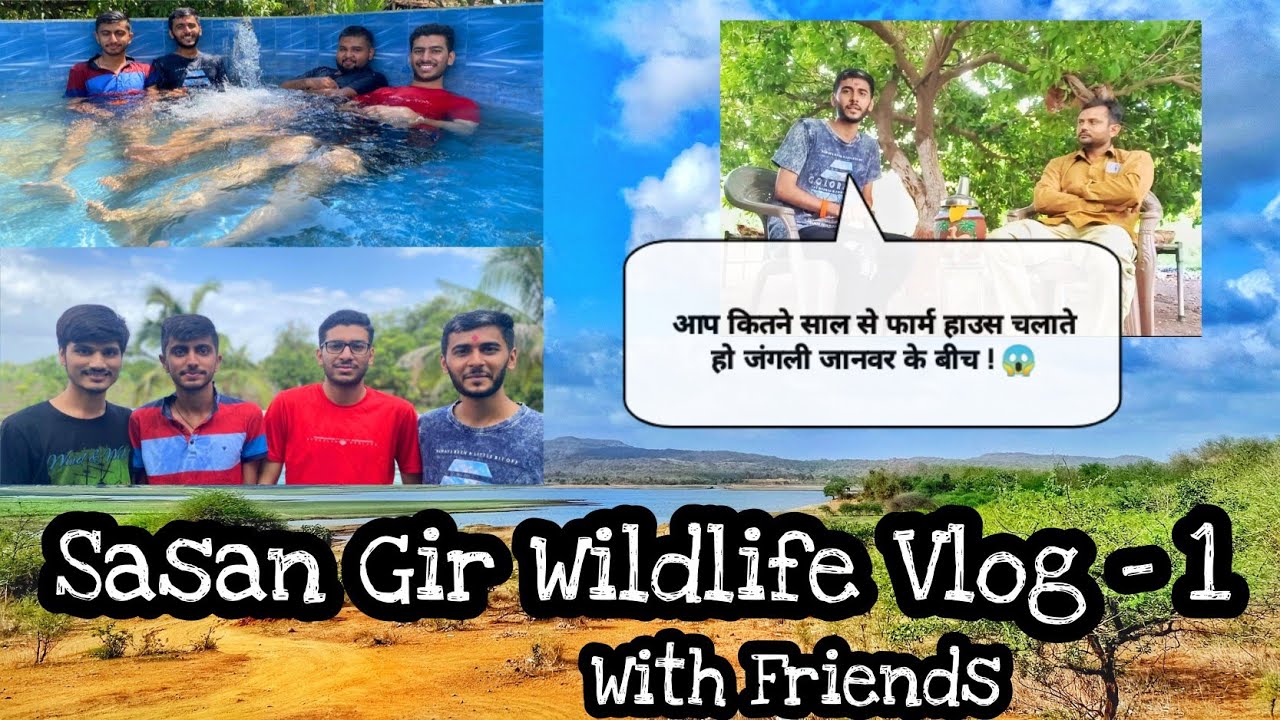 સાસણ ગીરમાં આવેલ ફાર્મ હાઉસ | ત્યાંના સ્થાનિક સાથે ઇન્ટરવ્યુ | કેરીની સીઝન