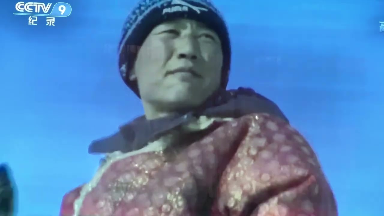 从顾城之子平庸的生活到谷爱凌和刘美贤的平行世界看华人移民的精神文化归属