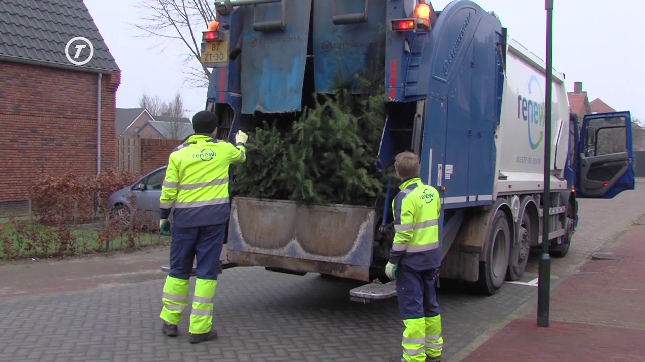 HvB Nieuws - Kerstbomen worden van straat geplukt in Hilvarenbeek