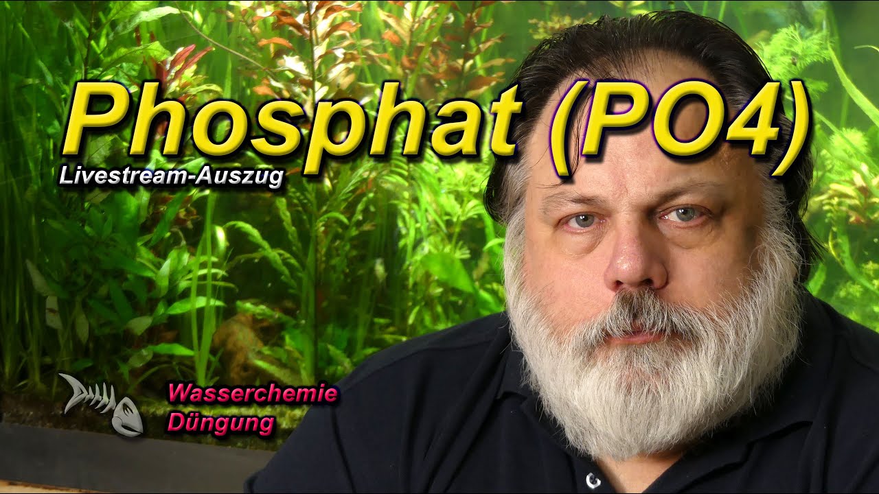 ALLES RUND UM PHOSPHAT (PO4) IM AQUARIUM