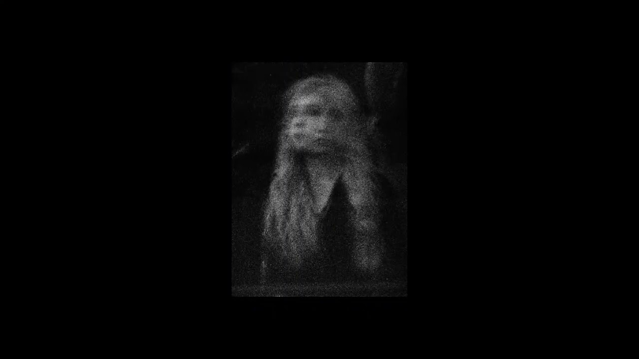 kyote x klimek - codzienność