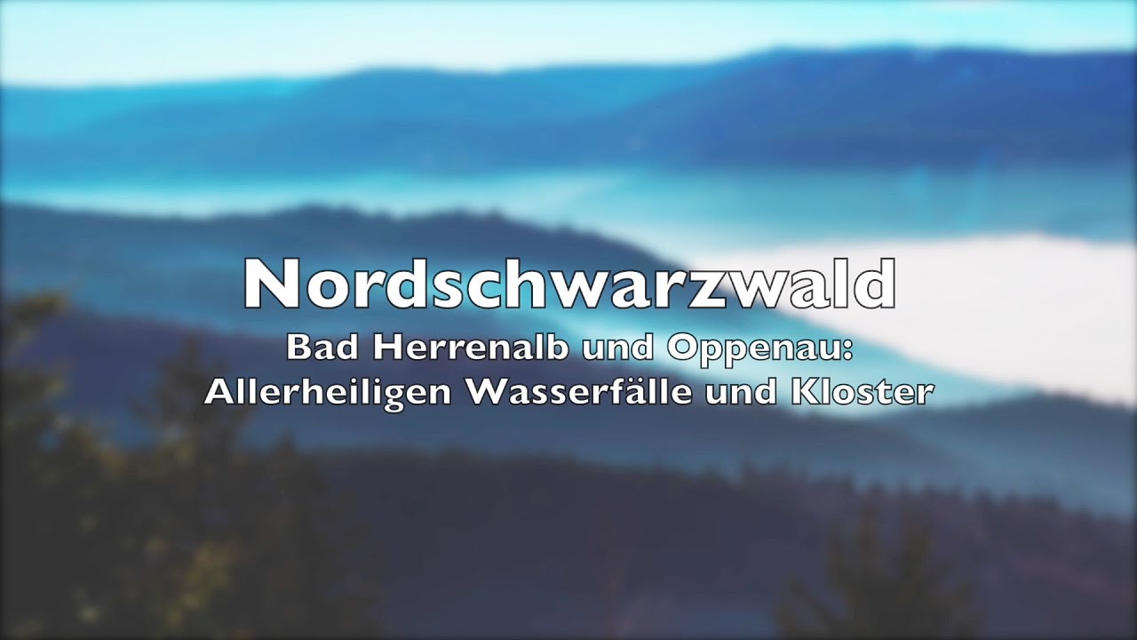 Schwarzwald Meditation, beautiful 4K video of the black forests nature, Germany