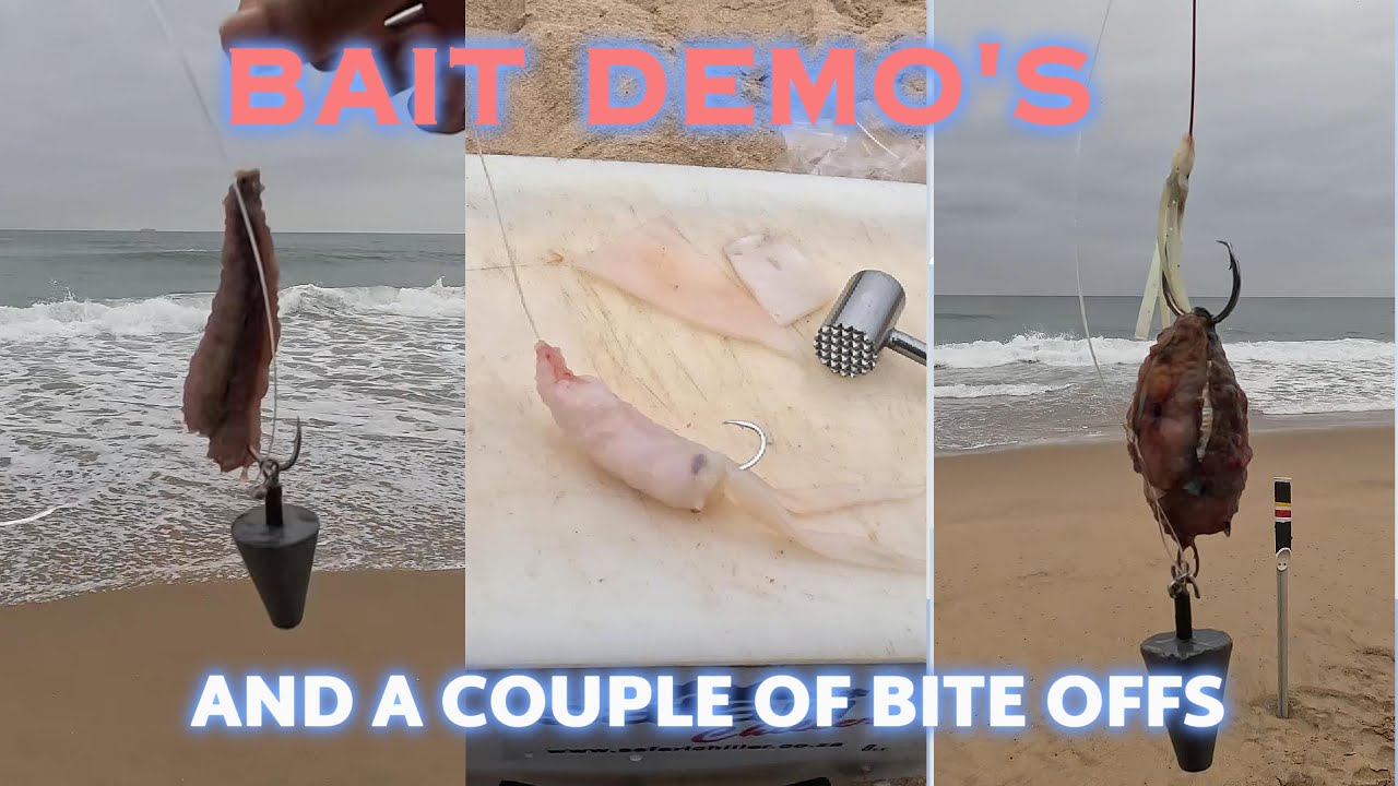 BAIT DEMO'S AND A COUPLE OF BITE OFFS #BAITDEMOS