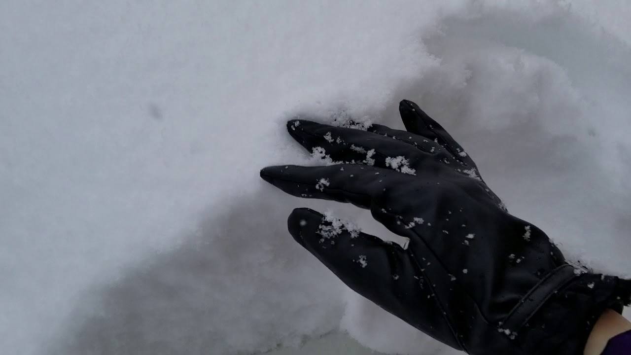 A huge snow storm just arrived last night