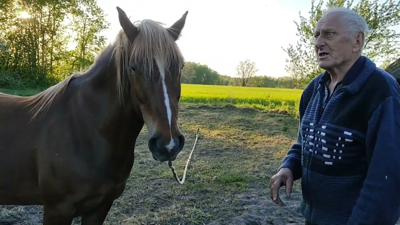 👉 очередная командировка 6 лет кобыла 🙆
