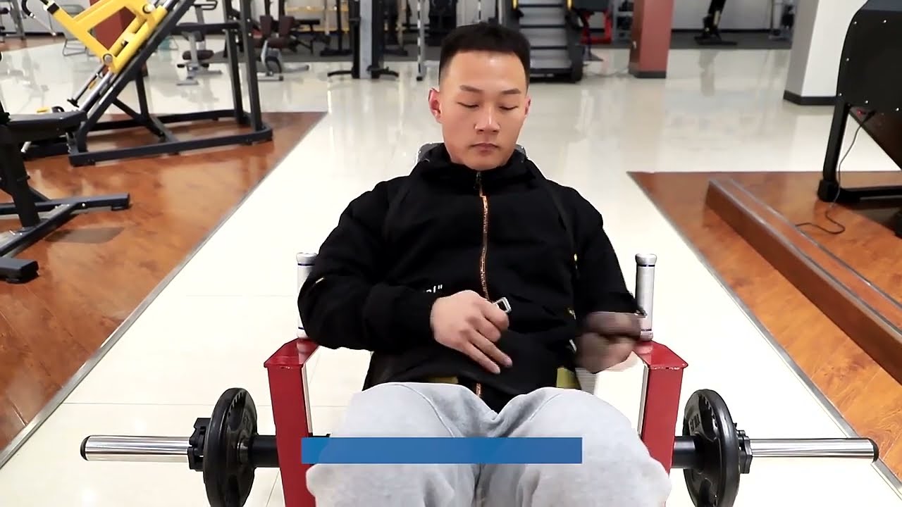 TZFIT Plate Loaded Hip Thrust Machine Glute Machine - Professional Gym Equipment