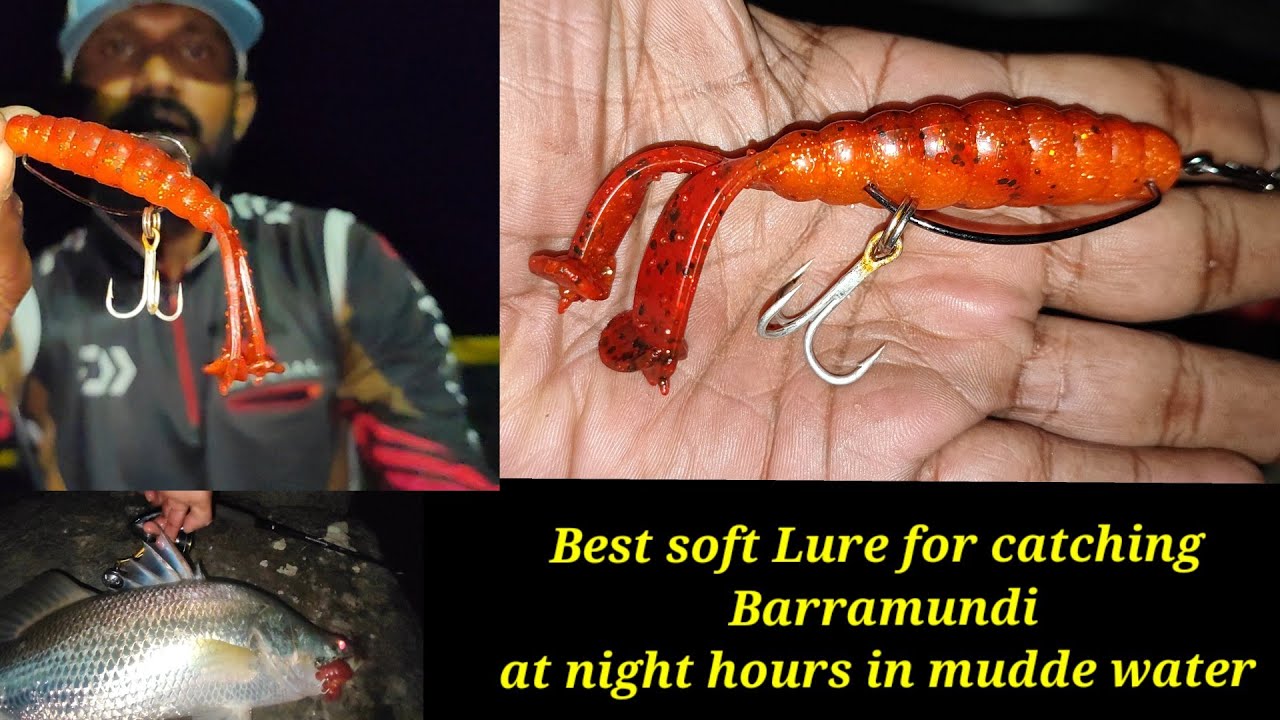 Best softlure for catching Barramundi at night hours in mudde water, tips and tricks for beginners..