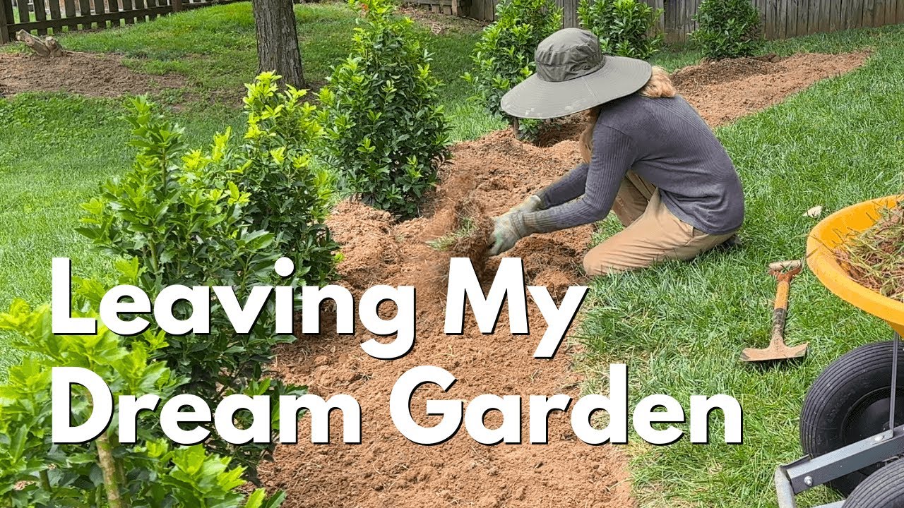 Why I'm GLAD I Left My Dream Garden