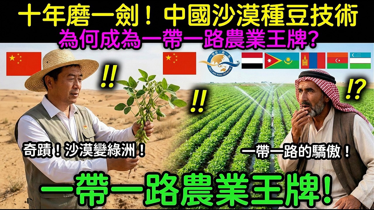 碾壓歐美！中國沙漠大豆畝產280公斤，中東多國搶著付費引進？