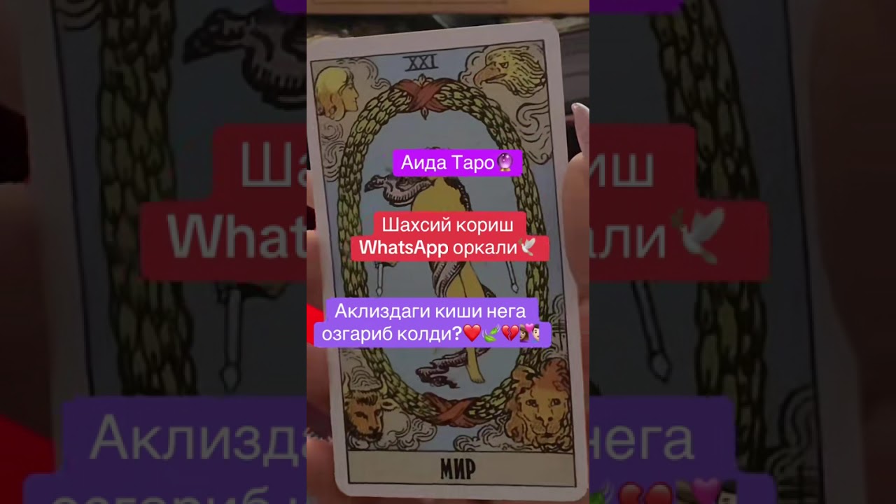 АКЛИЗДАГИ КИШИ НЕГА ОЗГАРИБ КОЛДИ?👩🏽‍❤️‍👨🏻❤️👫🏻💔🍃💍 