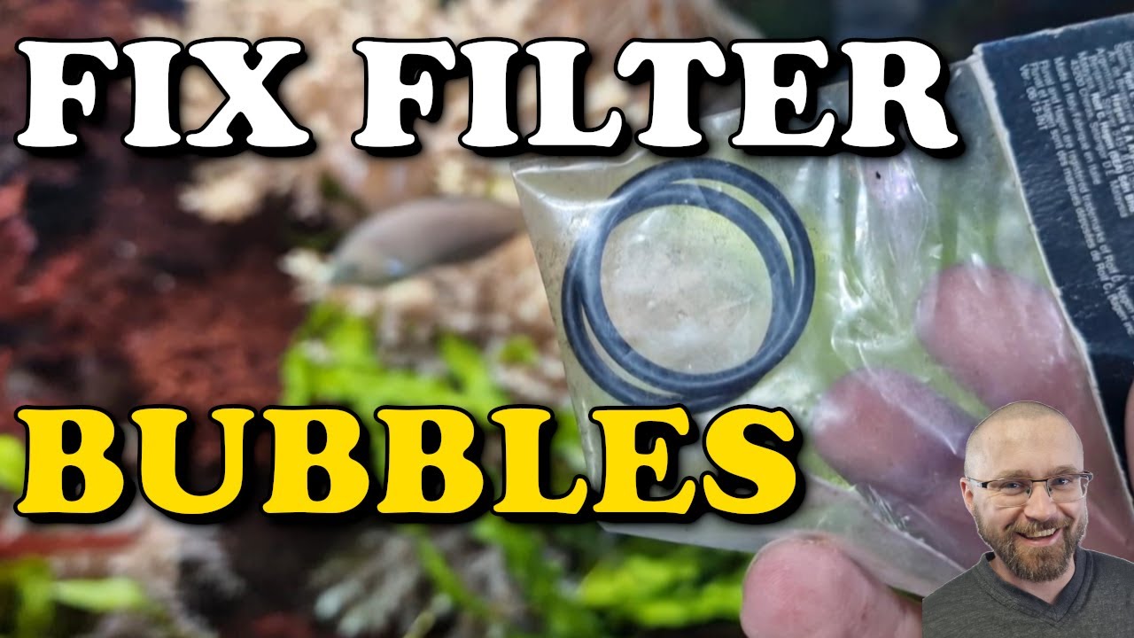 5 Reasons Your Aquarium FILTER has BUBBLES | External Canister Filter Micro Bubbles