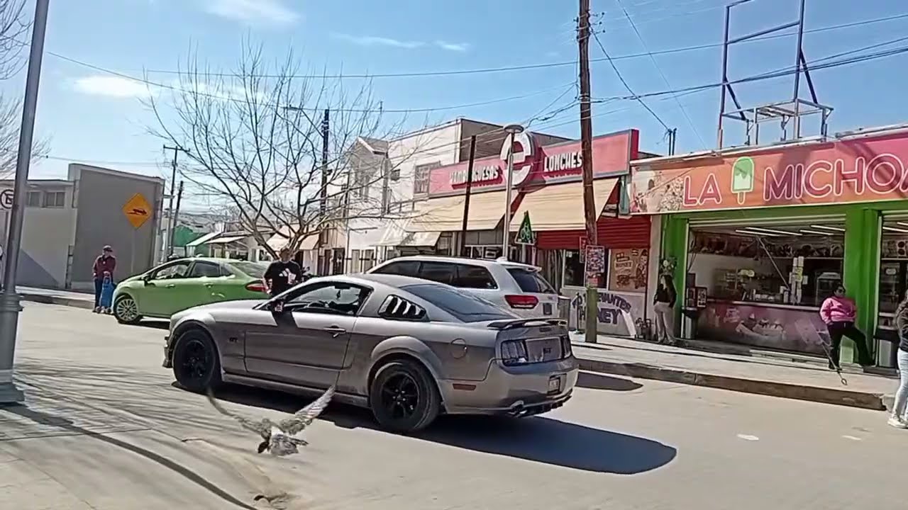 Me encanta  andar en la avenida JUAREZ  