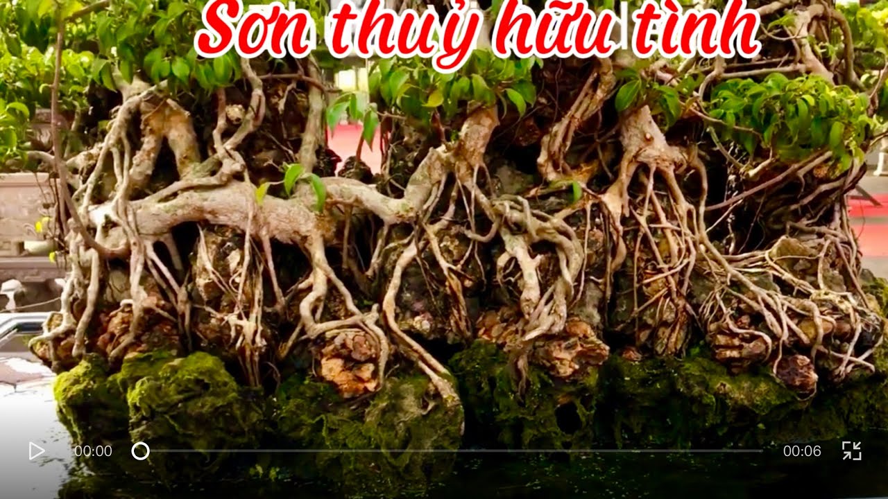 Sơn Thủy hữu tình - Lối chơi mộc mạc của người xưa #thuanvigarden
