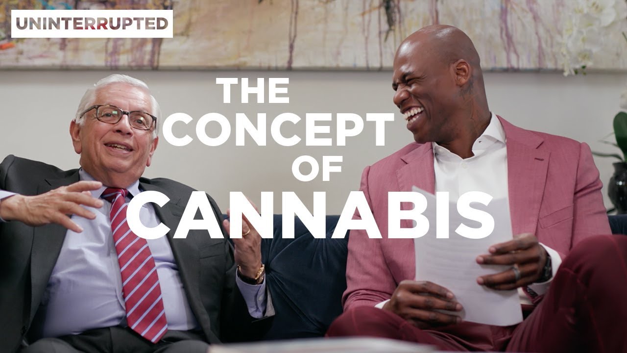 Al Harrington And David Stern Talk Medical Marijuana | THE CONCEPT OF CANNABIS