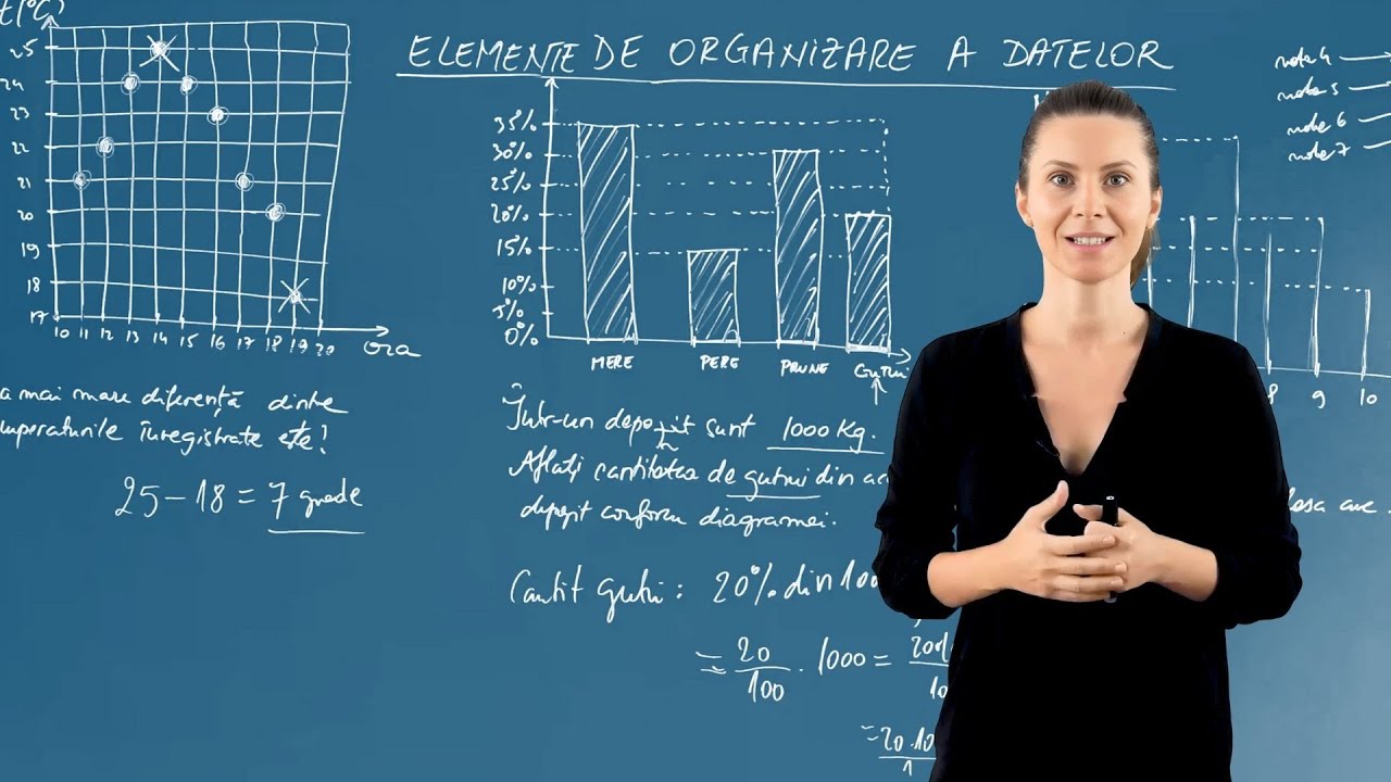 Elemente de organizare a datelor - Matematică - Clasa a VI-a