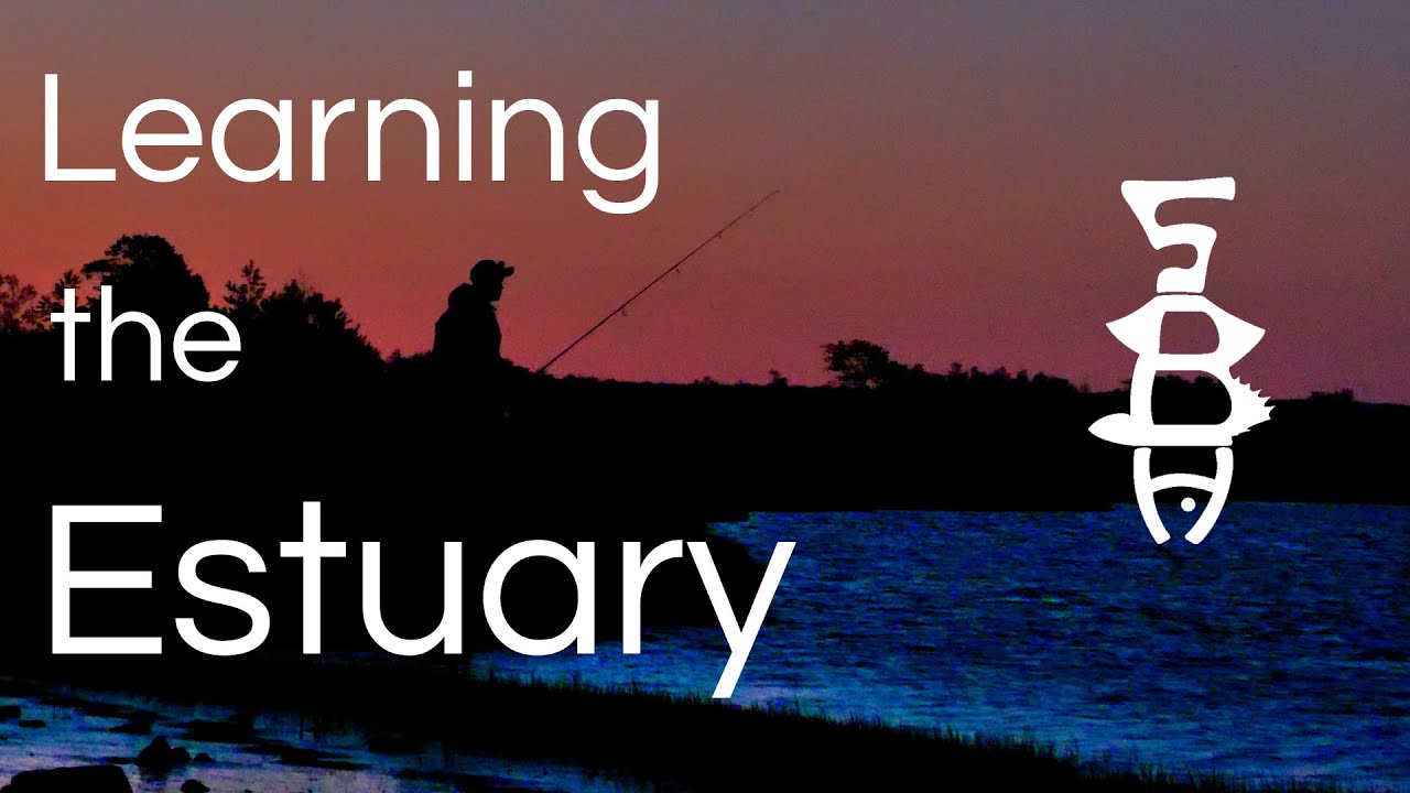 Learning the Estuary | The Striped Bass Hunt Show | Episode 3