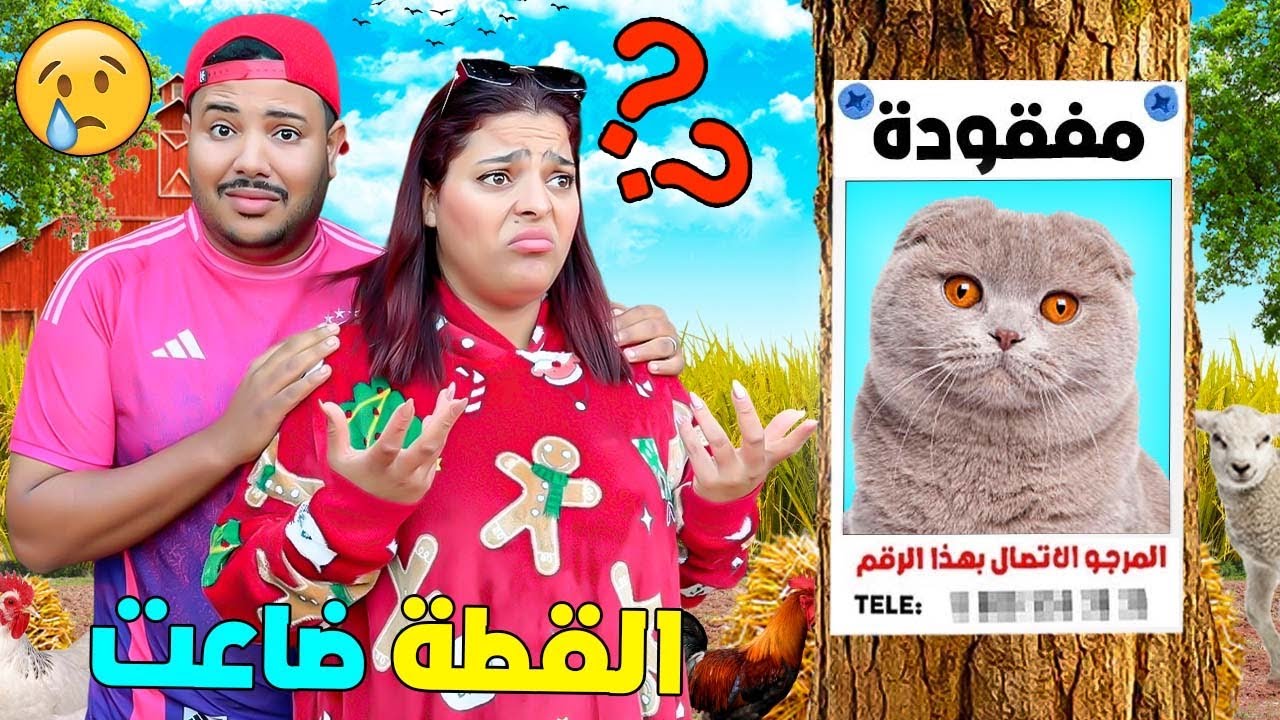 للأسف..القطة الجديدة مفقودة😿بحثنا في كامل المزرعة😱ولكن ‼️