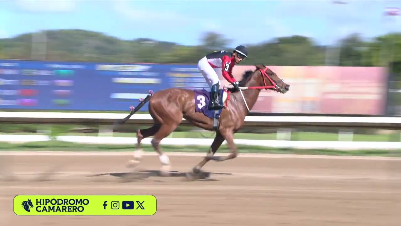 CARRERA 3 - 2/MARZO/2026 (THUNDER WHISPER)