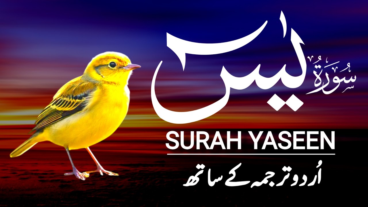 Surah Yasin | Surah Yaseen With Urdu Trnslation Full | Ep-009